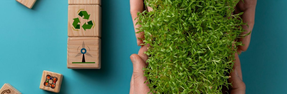 WhatsApp Image 2024-10-01 at 2.16.27 PM